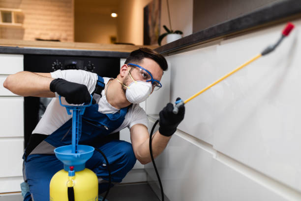 Best Exterminator Services  in Conshohocken, PA