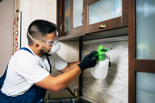 Flea Control Services in Conshohocken, PA