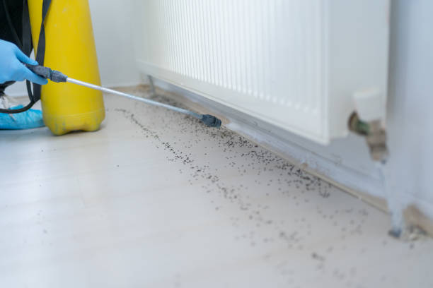 Trusted Conshohocken, PA Pest Control Experts