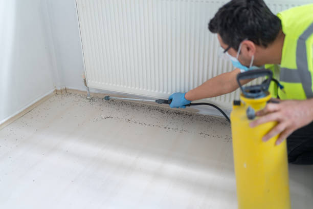 Best Bed Bug Extermination  in Conshohocken, PA