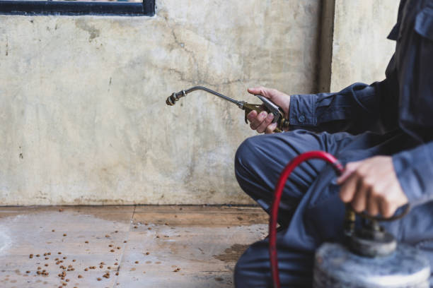Best Termite Control Services  in Conshohocken, PA